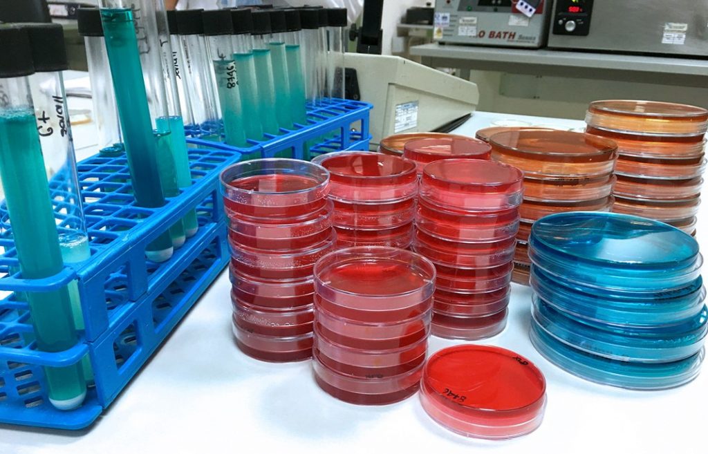 Analisis_Microbiologico