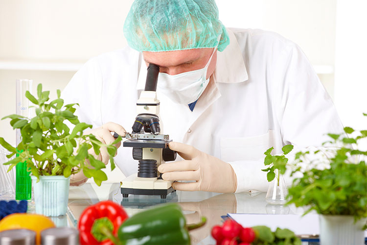 analisis-de-alimentos